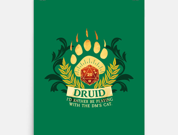 Druid D20