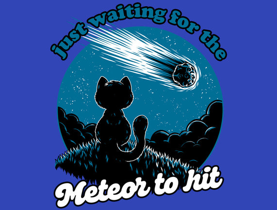 Cat Waiting The Meteor