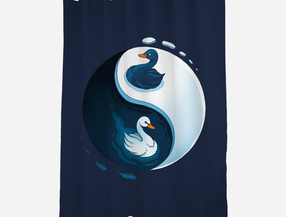Swan White And Black
