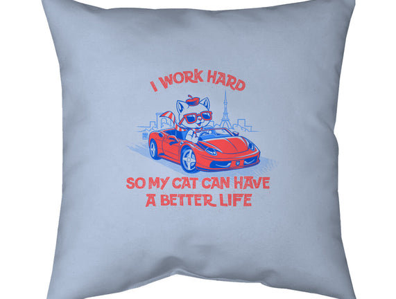 My Cat Can Have A Better Life