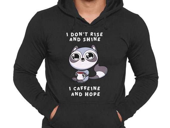 I Don't Rise And Shine