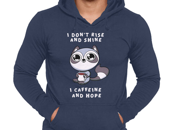 I Don't Rise And Shine