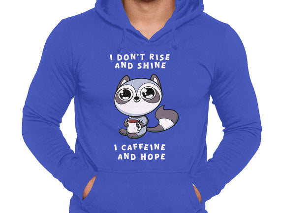 I Don't Rise And Shine