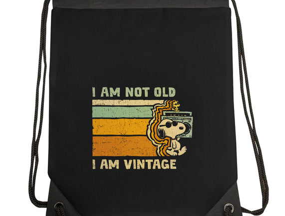 Vintage Vibes