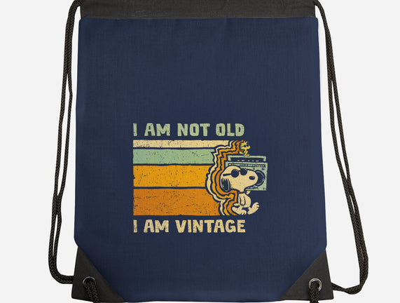 Vintage Vibes