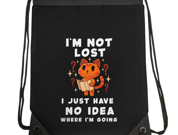 I'm Not Lost