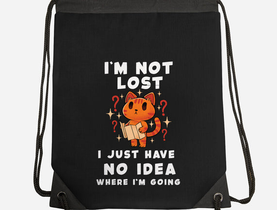 I'm Not Lost