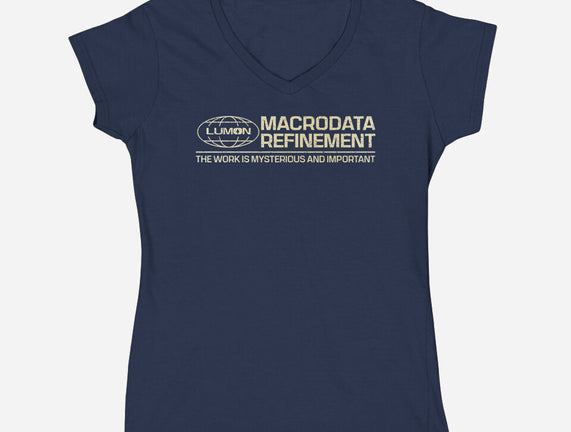 The Work Is Mysterious And Important