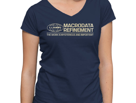 The Work Is Mysterious And Important