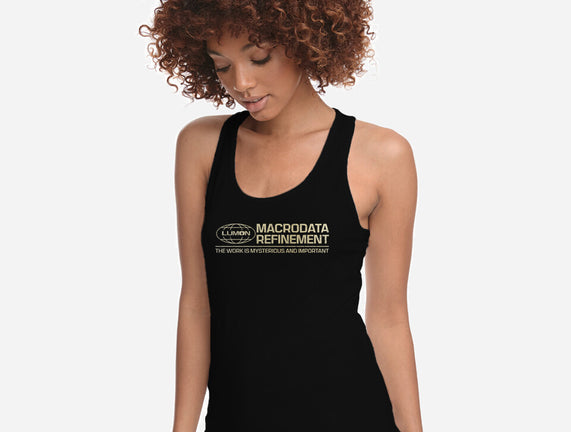 The Work Is Mysterious And Important