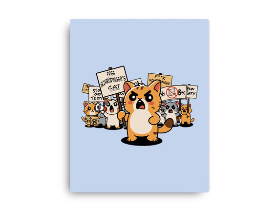 Cat Protest