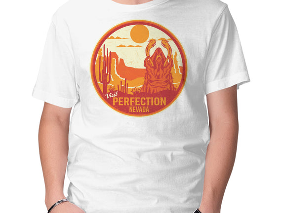 Visit Perfection