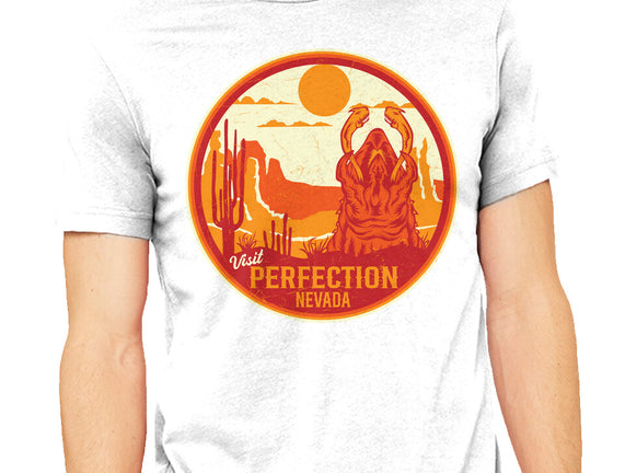 Visit Perfection