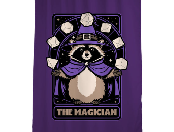 Raccoon RPG Wizard