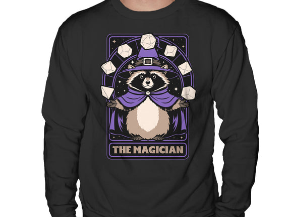 Raccoon RPG Wizard