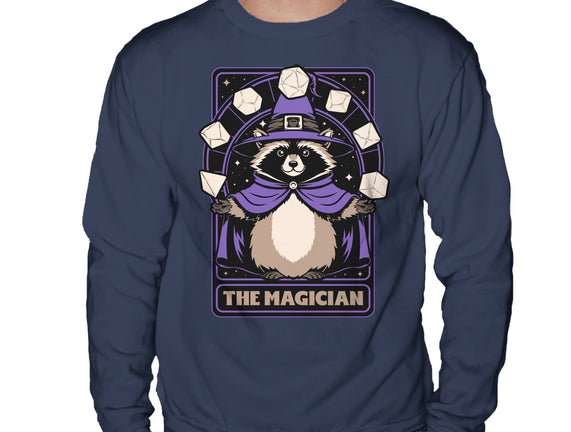 Raccoon RPG Wizard