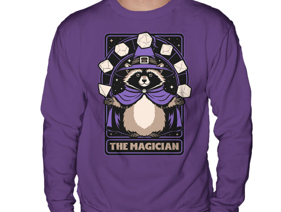 Raccoon RPG Wizard
