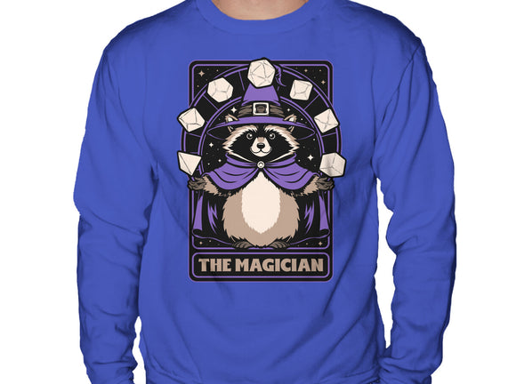 Raccoon RPG Wizard