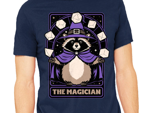 Raccoon RPG Wizard