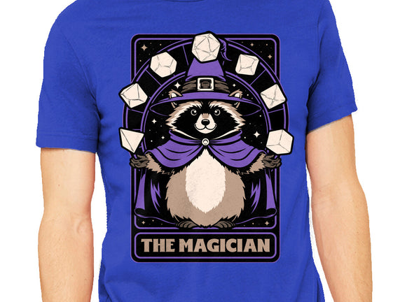 Raccoon RPG Wizard
