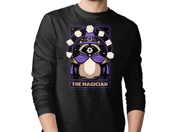 Raccoon RPG Wizard