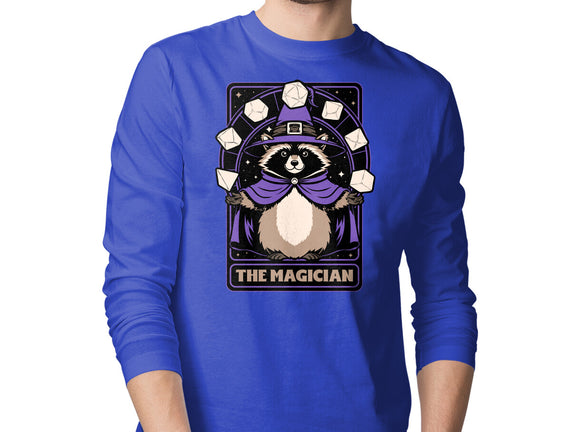 Raccoon RPG Wizard