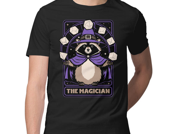 Raccoon RPG Wizard
