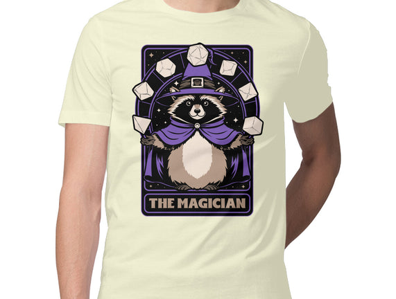 Raccoon RPG Wizard