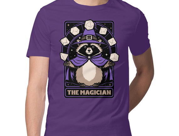 Raccoon RPG Wizard