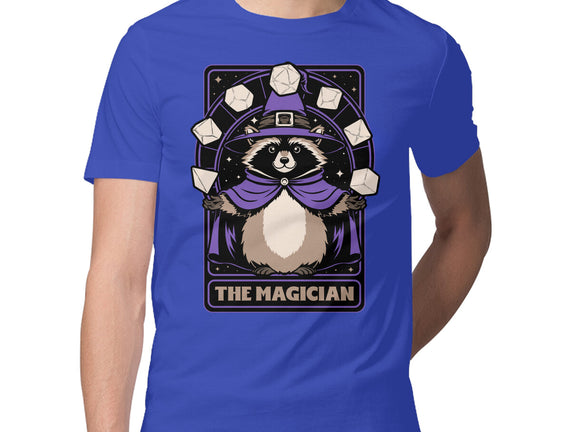 Raccoon RPG Wizard