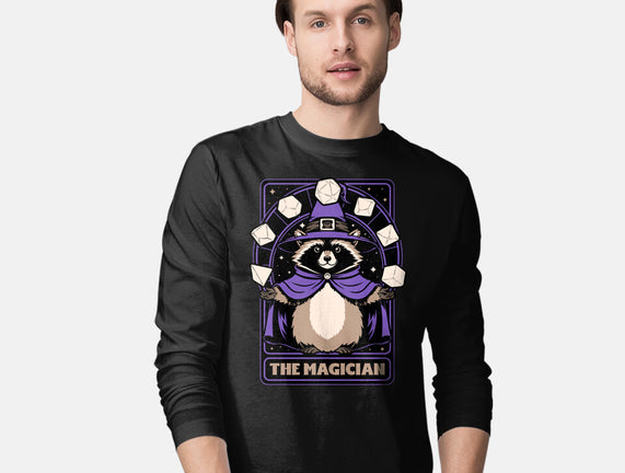 Raccoon RPG Wizard