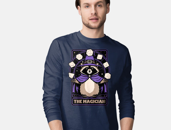 Raccoon RPG Wizard