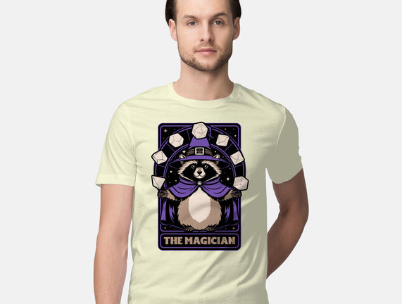 Raccoon RPG Wizard