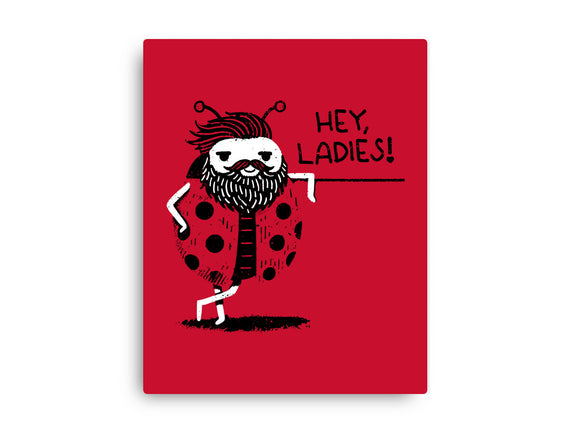 Ladybug Lover
