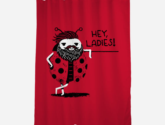 Ladybug Lover