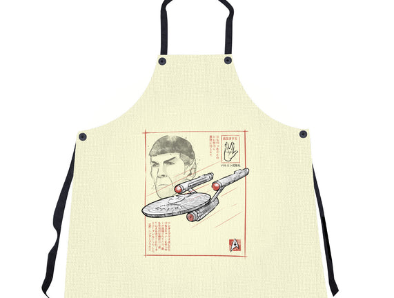 USS Enterprise Sumi-e