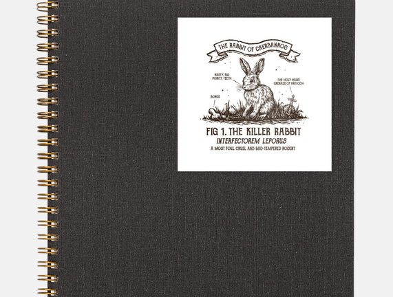 The Rabbit Of Caerbannog
