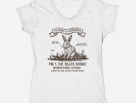 The Rabbit Of Caerbannog