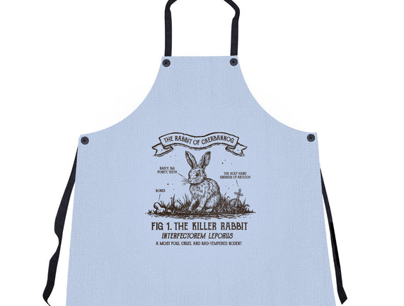 The Rabbit Of Caerbannog