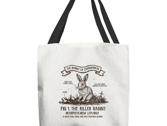 The Rabbit Of Caerbannog