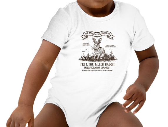 The Rabbit Of Caerbannog