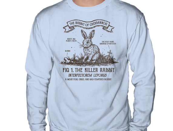 The Rabbit Of Caerbannog
