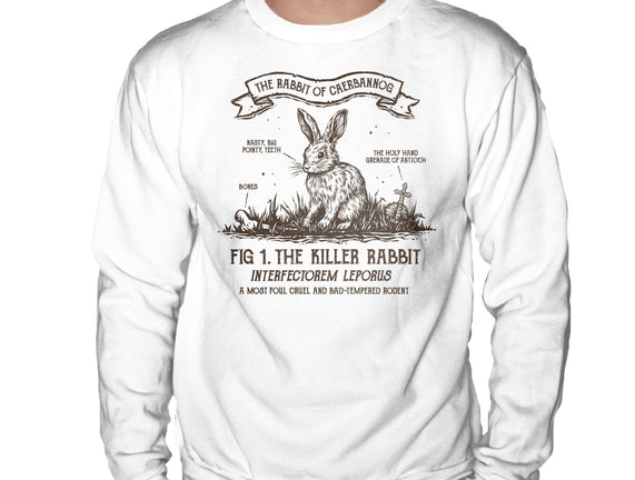 The Rabbit Of Caerbannog