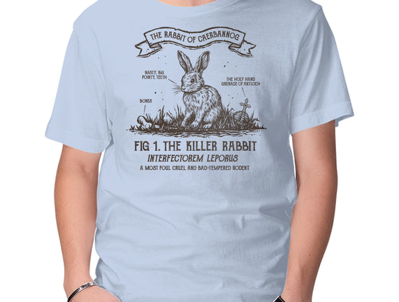 The Rabbit Of Caerbannog