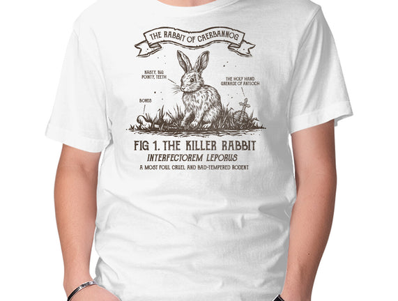 The Rabbit Of Caerbannog