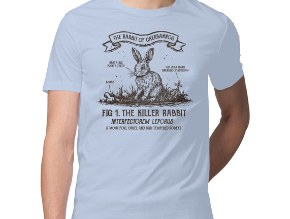 The Rabbit Of Caerbannog