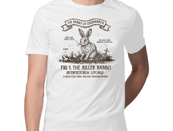 The Rabbit Of Caerbannog