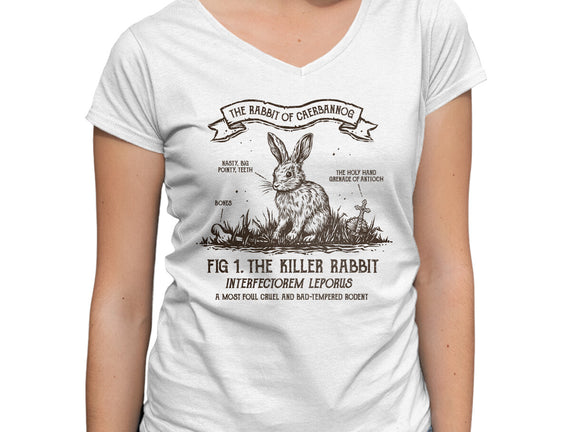 The Rabbit Of Caerbannog