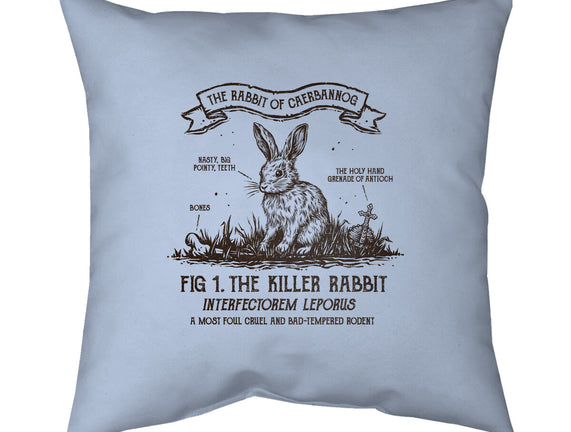 The Rabbit Of Caerbannog