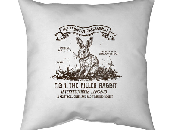 The Rabbit Of Caerbannog